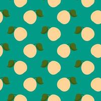 Apricot fruit , seamless pattern on a green background. vector