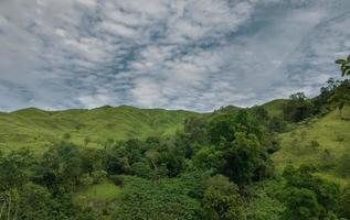un bosque sombreado con colinas de prados y un hermoso fondo de nubes foto