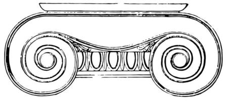 capitel jónico, las volutas de su capital, grabado antiguo. vector