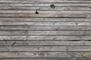 parte de madera de un camino peatonal cerca del lago foto