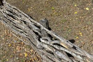 valla de madera para seguridad foto