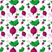 Beetroot graphic vegetable color seamless pattern sketch illustration vector