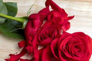 A beautiful red rose cut into pieces photo