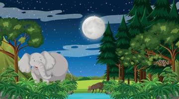 Forest at night time scene vector