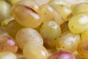 Green yellow grapes grown in a home vineyard photo