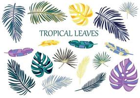 Tropical different type exotic leaves set. Jungle plants. Calathea, Monstera and palm leaves. Vector illustration isolated on white background.