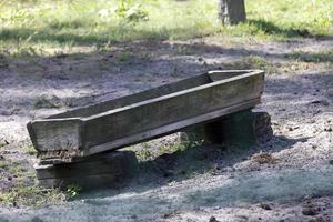 Wooden trough in the park for feeding herbivores photo