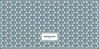 unique abstract pattern of symmetrical hexagonal bars vector