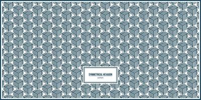 unique abstract pattern of symmetrical hexagonal bars vector