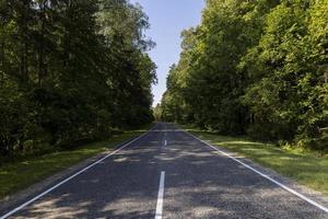 Paved road through the forest photo