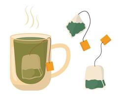 Transparent cup of hot steaming tea with a tea bag inside. Vector illustration of a tea cup and tea bags.