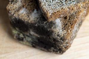 Black rye bread covered with black mold photo