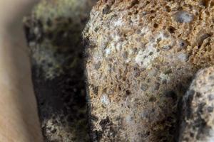 Black rye bread covered with black mold photo