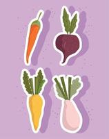 verduras alimentos frescos zanahorias cebolla y remolacha conjunto de iconos vector