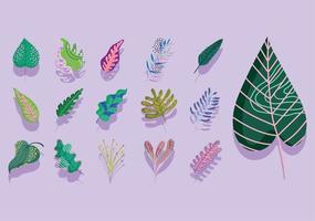 leaves abstract decoration foliage icons collection vector