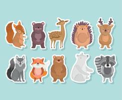 lindo oso ardilla erizo mapache lobo zorro animal con estrellas en iconos de dibujos animados vector