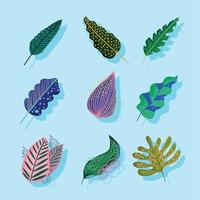 leaves foliage abstract ornament plant decoration icons set vector