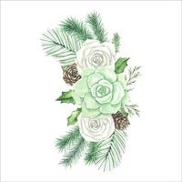 Bouquet with white roses, succulent, spruce branches , watercolor vector