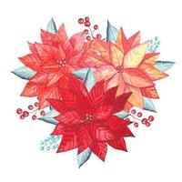 Bouquet of red poinsettias with blue leaves, watercolor vector