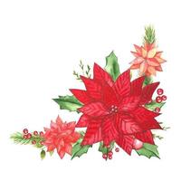 Composition with red poinsettia, green leaves, watercolor vector