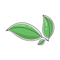 Vector illustration of a tea leaf.