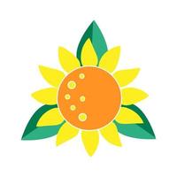 Sunflower vector illustration. Summer flower yellow color