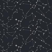 The pattern of the night sky with constellations. Sequins on a blue background in the form of zodiacs. A cluster of stars on a blue background. Suitable for printing on textiles and paper. vector