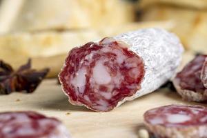 White mold on beef sausage, photo