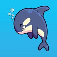 cute baby orca whale character illustration vector