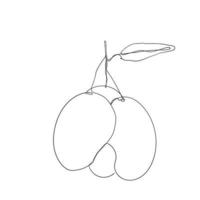 continuous line drawing mango fruit illustration vector