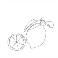 continuous line drawing orange citrus illustration vector isolated