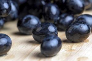 Blue grapes grown in a home vineyard photo