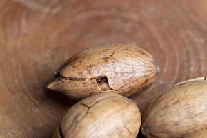 Pecan in a shell on the table photo