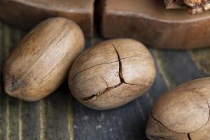 Pecan in a shell on the table photo