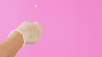 Cotton stick for swab test in hand with white medical gloves or latex glove on pink background. photo