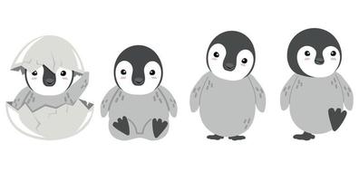 set of chic imperial penguin vector