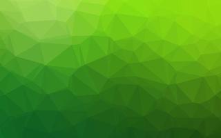 Light Green vector polygon abstract layout.