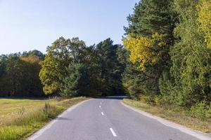 camino pavimentado en la temporada de otoño en clima soleado foto