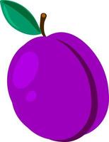 Purple plum flat, illustration, vector on white background.