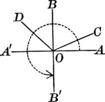 Plot of Two Rays, vintage illustration. vector