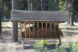 wooden feeders in the park with animals photo