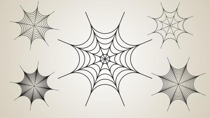 pider webs graphic resources patterns of spider webs many good designs