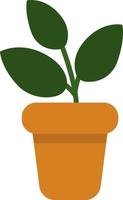 Rubber tree in a pot, icon illustration, vector on white background