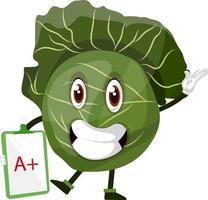 Cabbage is holding a plus paper, illustration, vector on white background.