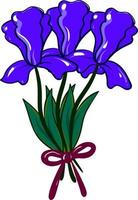 Iris bouquet, illustration, vector on white background.