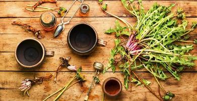 Dandelion or taraxacum in natural herbal medicine,wooden table photo