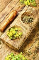 Hypericum in herbal medicine,wooden table photo