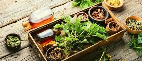 Homeopathic herbs and roots in herbal medicine photo