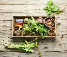 Healing herbs,roots and extracts in herbal medicine photo