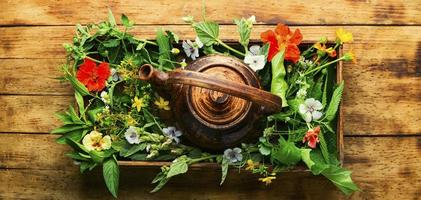 Teapot with fresh medicinal herbs photo